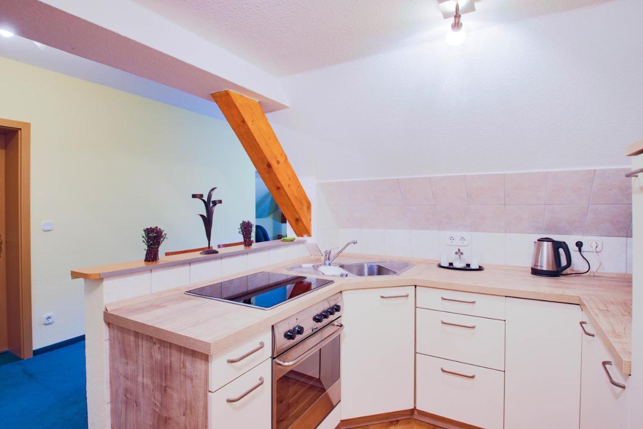 Ferien Hotel Villa Suedharz Sülzhayn Екстериор снимка
